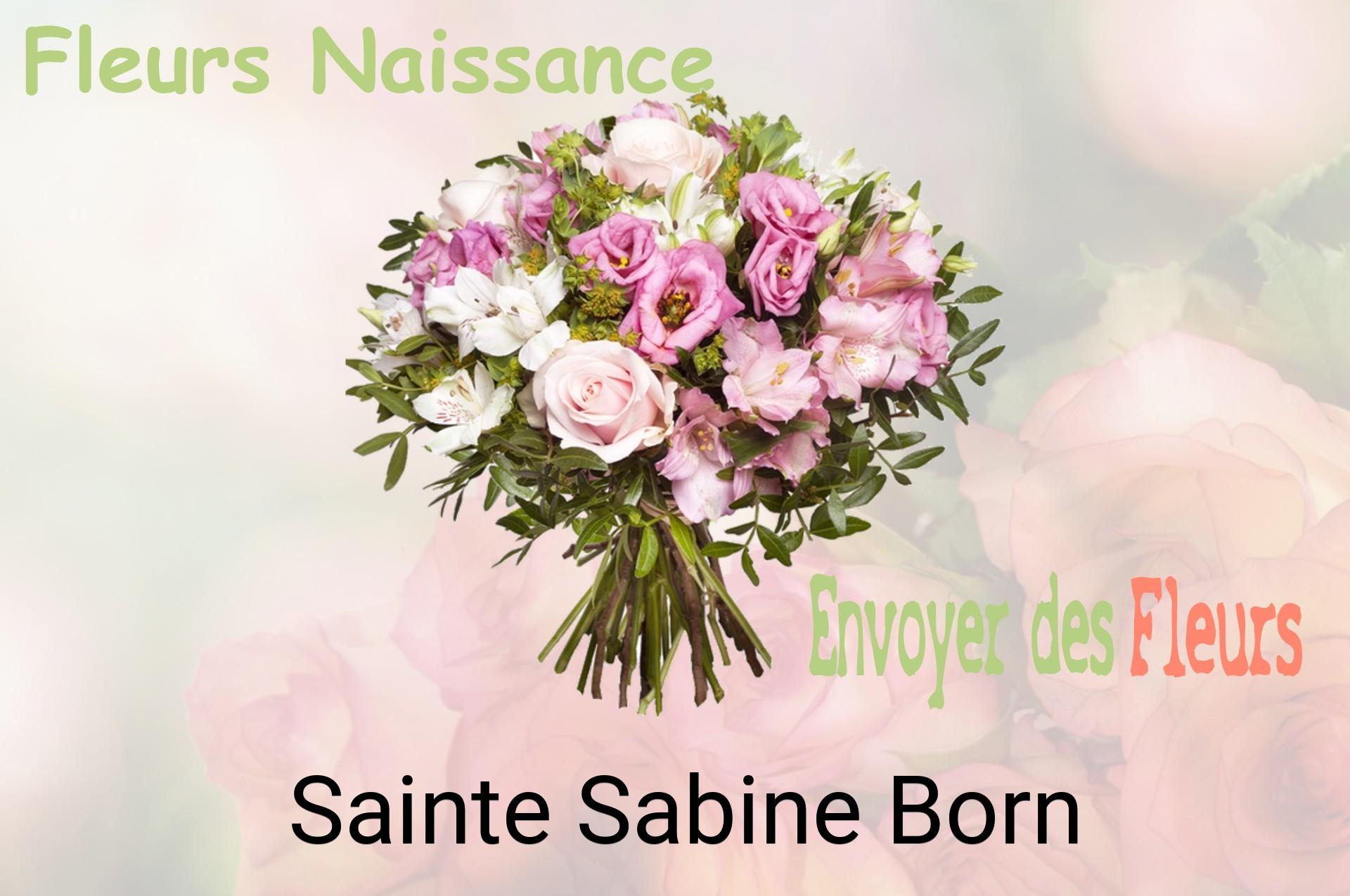 Bouquet de fleurs de naissance livré à Sainte-Sabine-Born